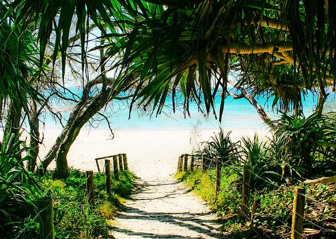 The Path