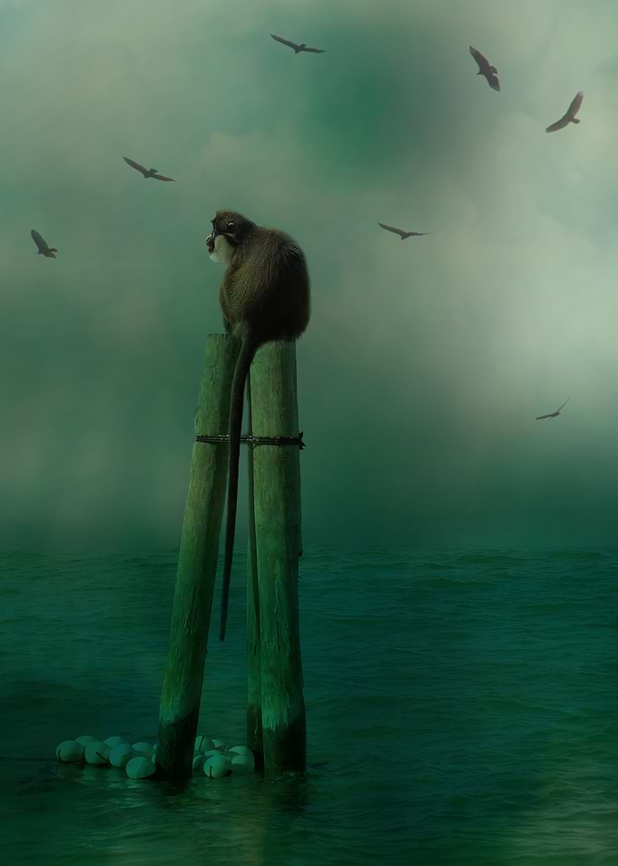 In The Ocean Mist
