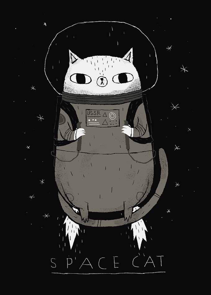 space cat