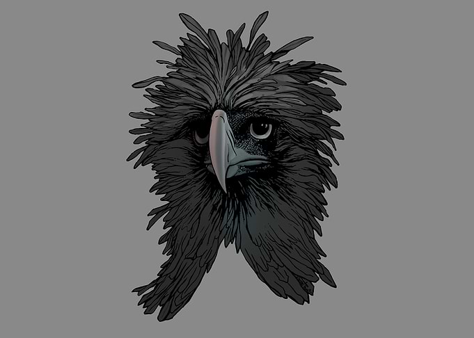 Hawk