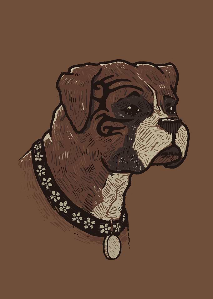 The Boxer