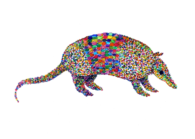 armadillo