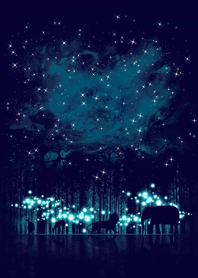 Cosmic Safari