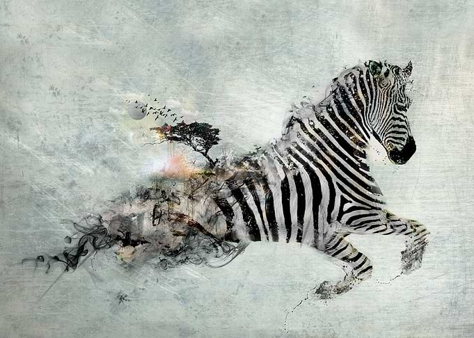 Save our world