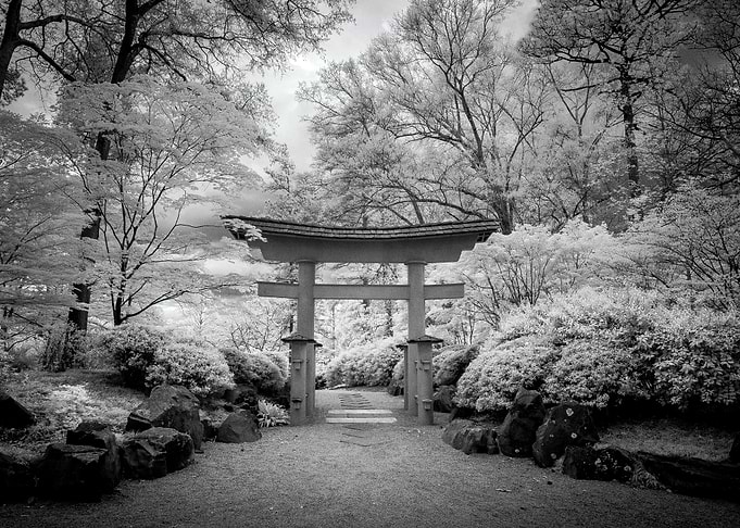 Taken with an Infrared Camera. The entrance to a local ...