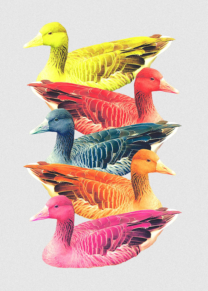 DuckColor