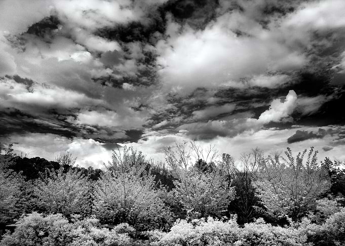 Taken with an Infrared converted camera. Though taken i ...