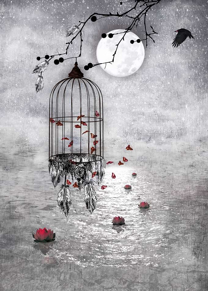le vent t'emportera ....
