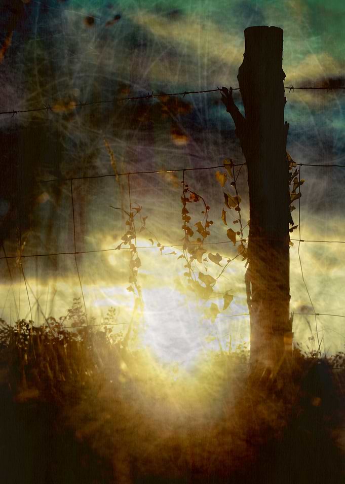 TOUCHING THE SUN