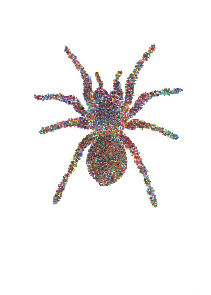 Tarantula