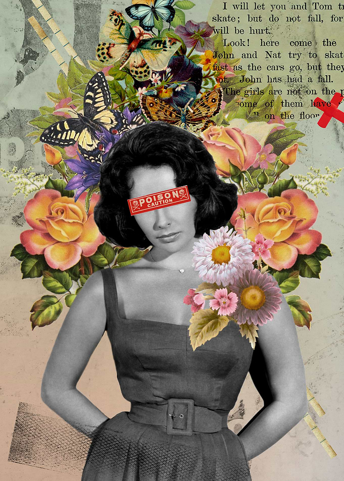 Liz Taylor Public Figures Collections