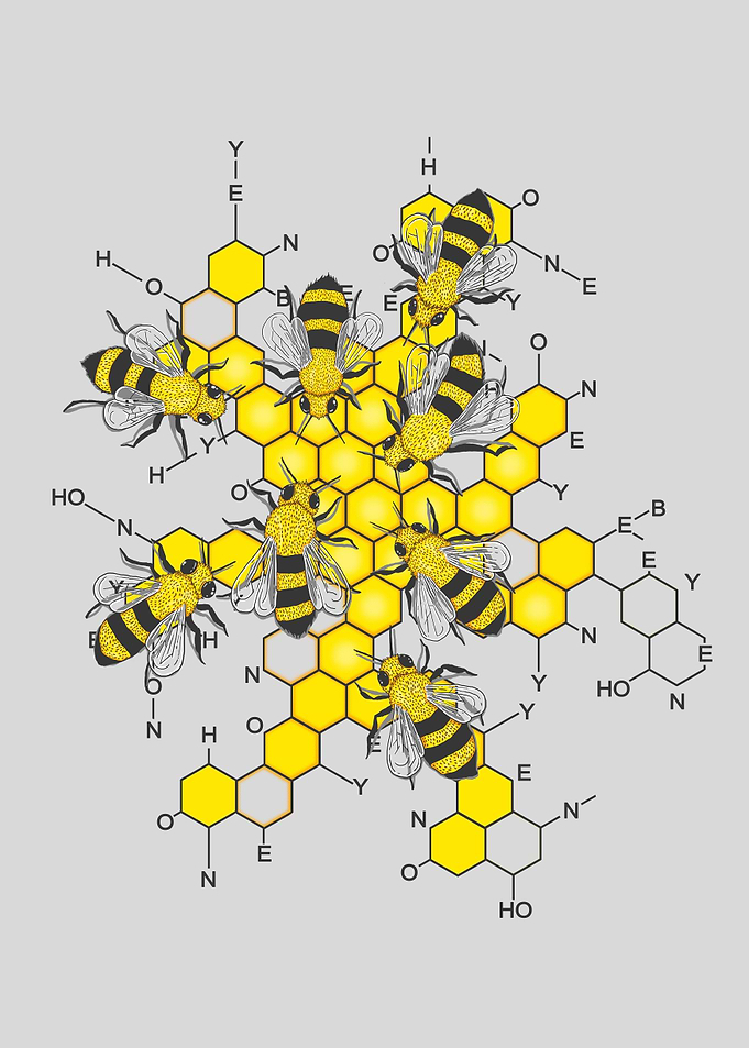 Science of honey and bees