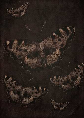 Butterfly Kisses
