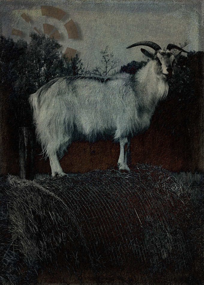 La Capra