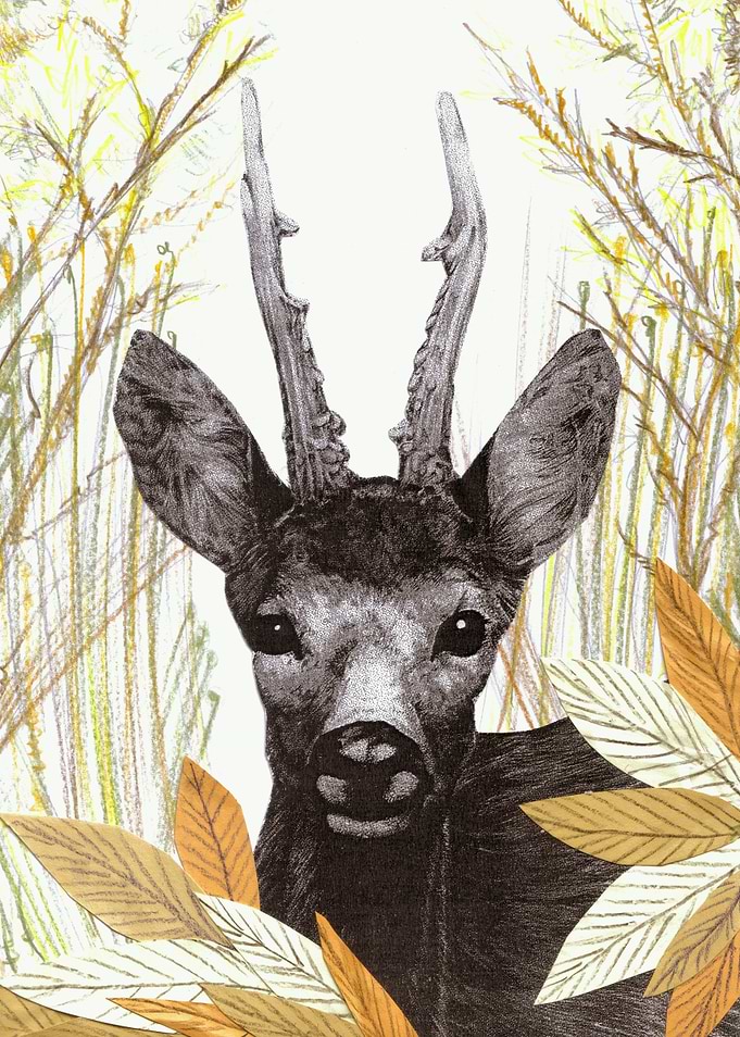 among the leaves (morning)