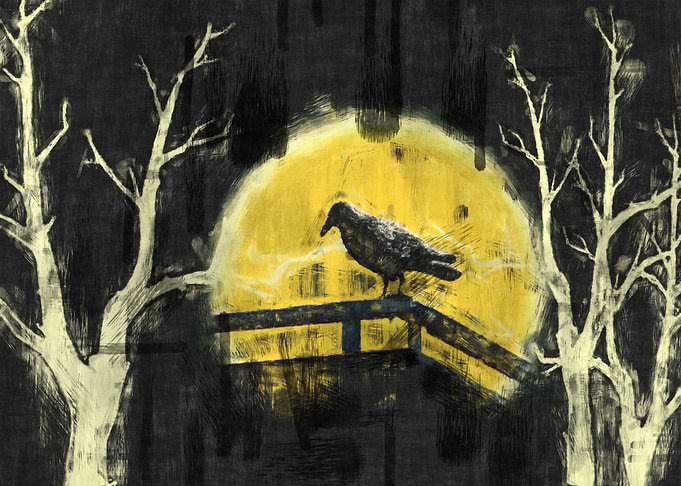 bird and full moon