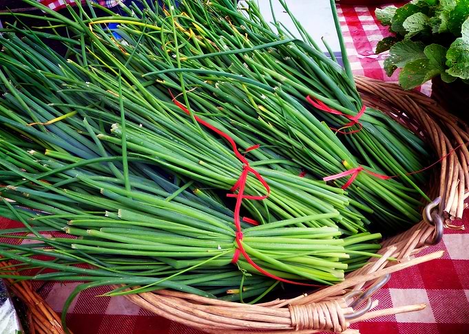 Fresh Chives
