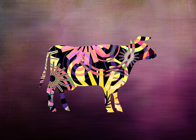 COW-P3A-4