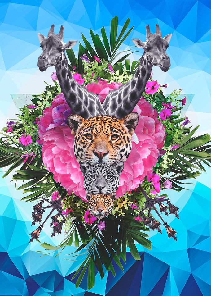 Selva19