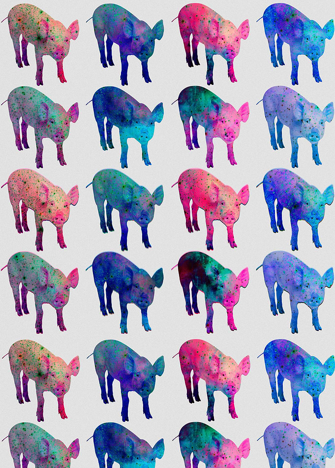 Pigbluxy