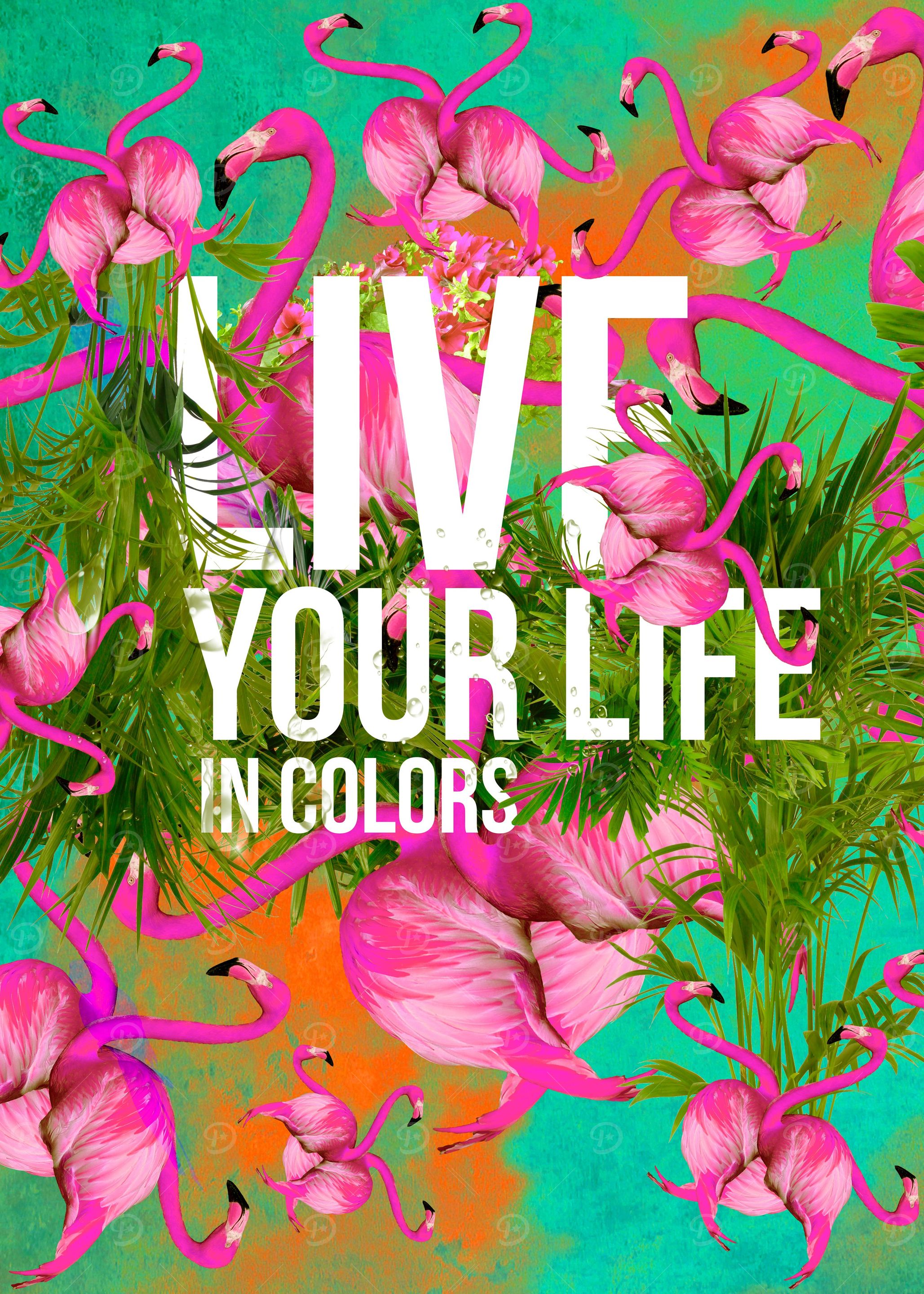 Live your life