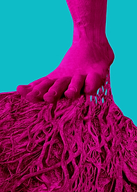 Roots