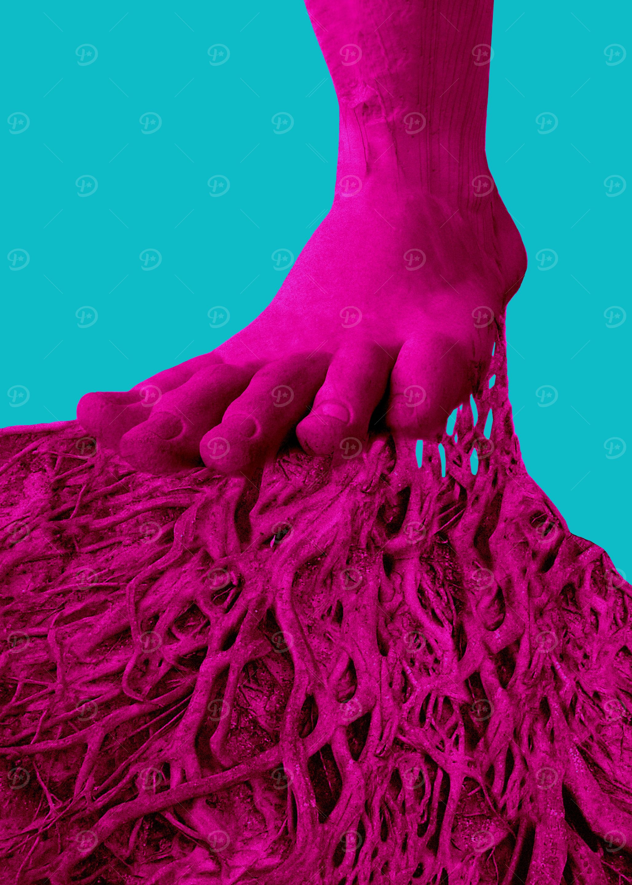 Roots