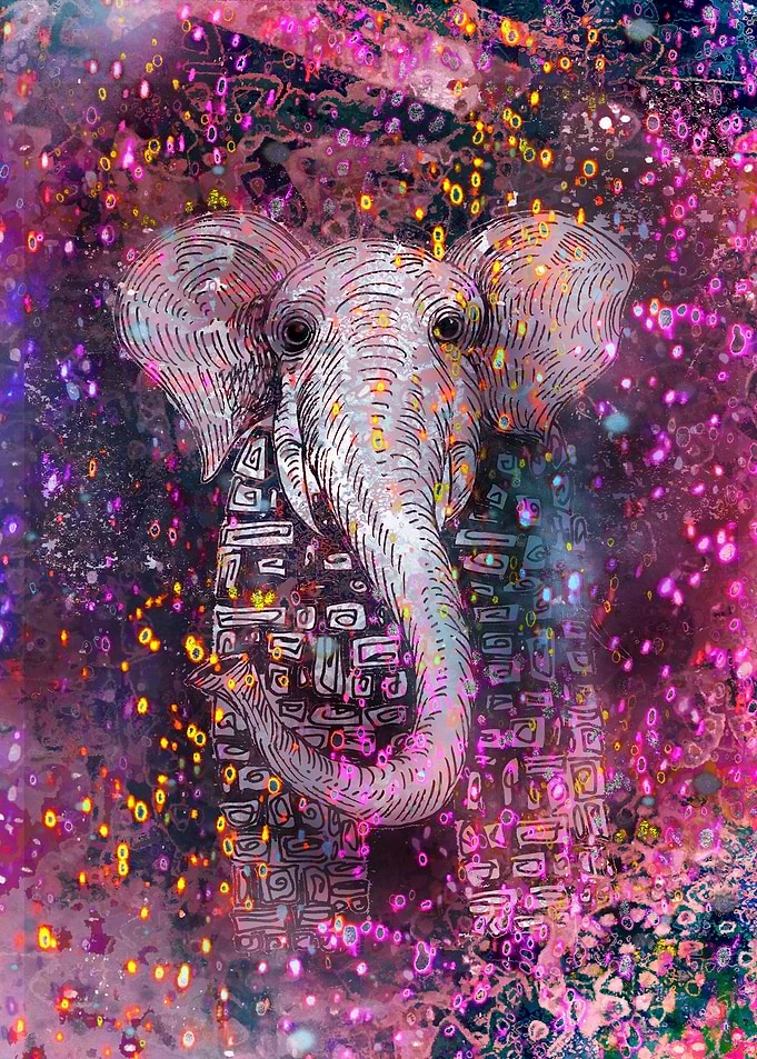 Elephant Magic