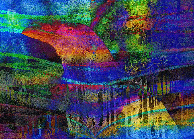 Rainbow Raven