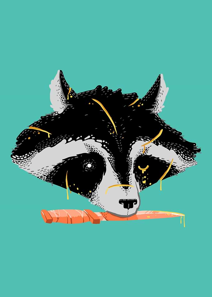 Raccoon