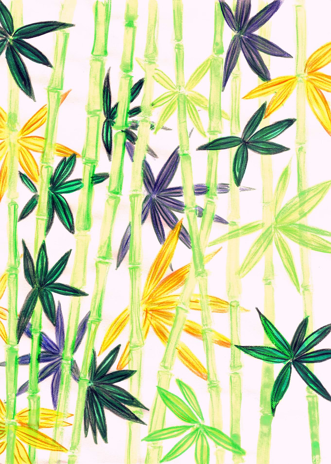 Bamboo