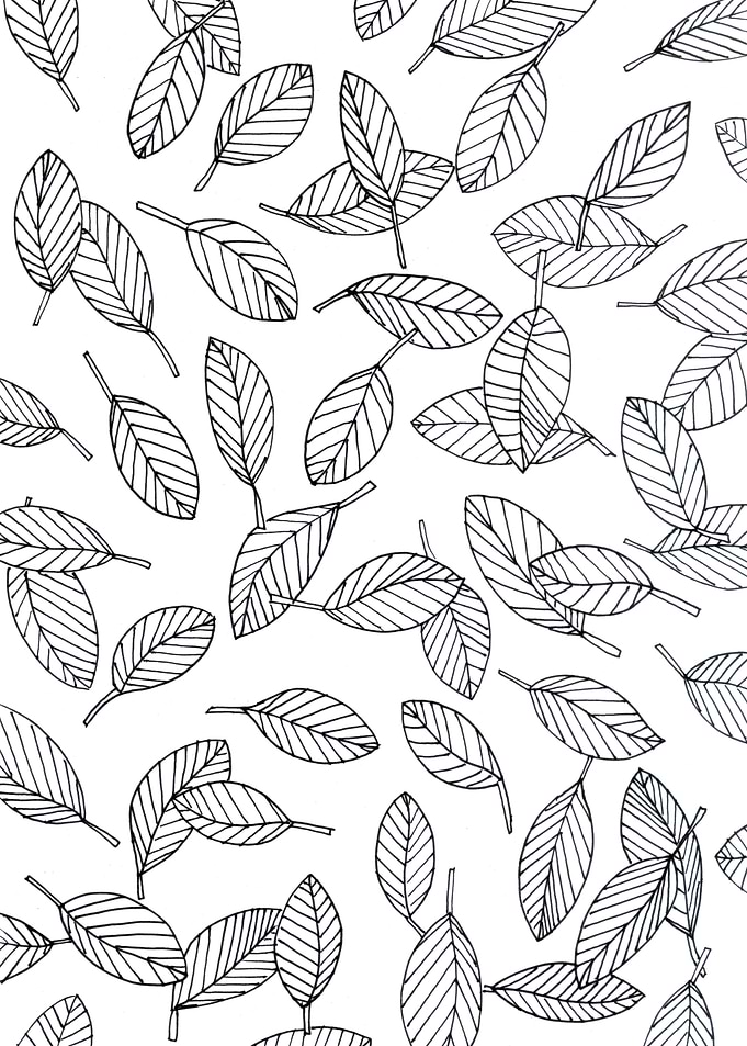 Leaves