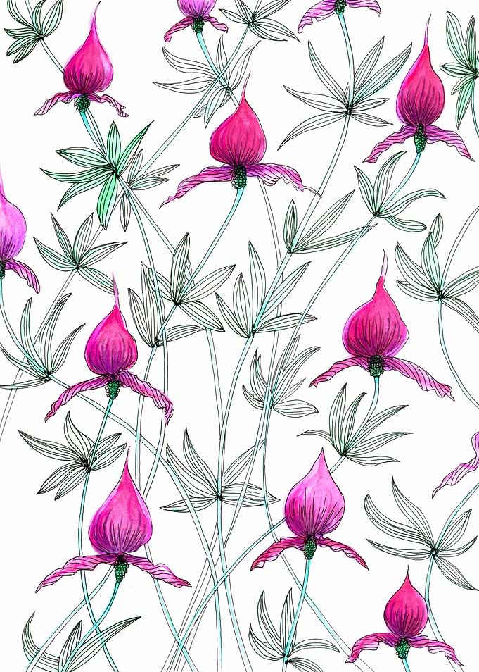 small purple flowers