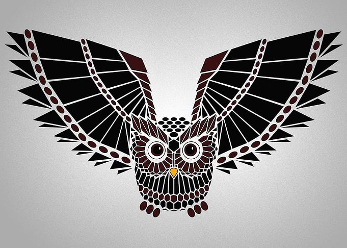 The Great Geometric Owl - The beauty of shapes in natur ...