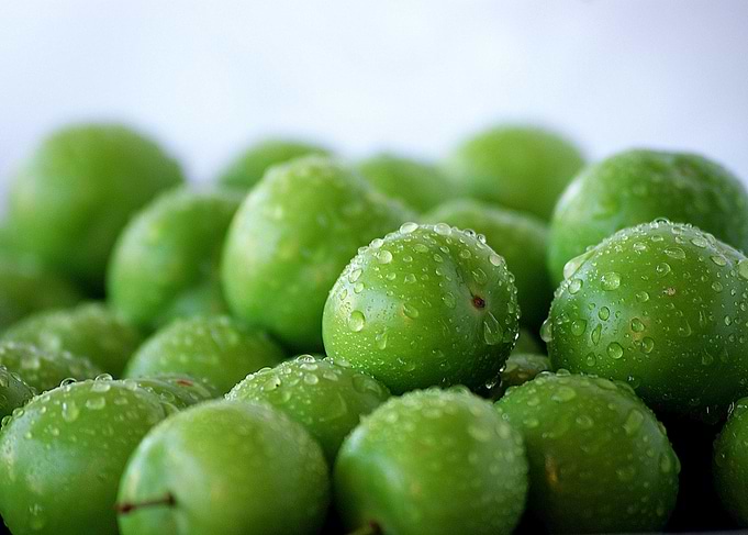 plum photo