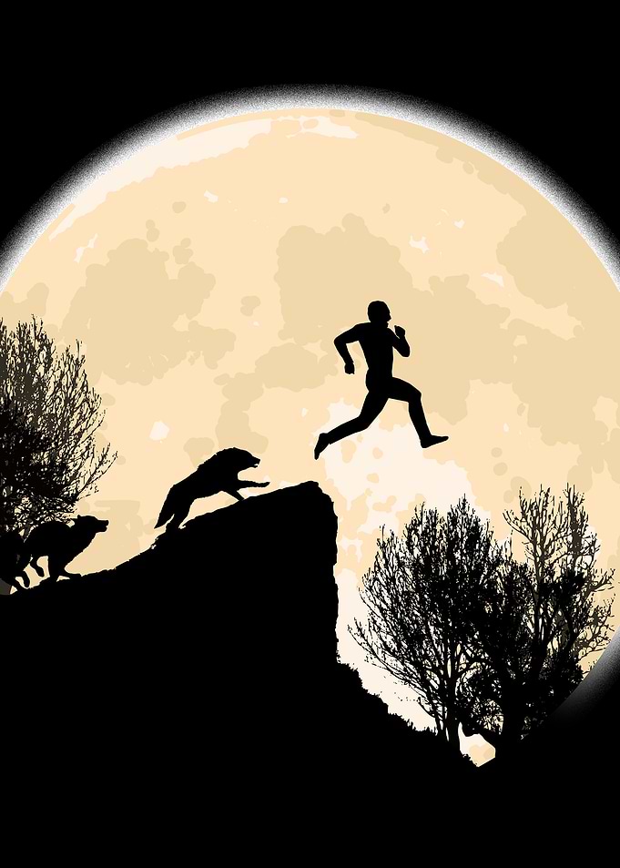 On The Wolves' Cliff