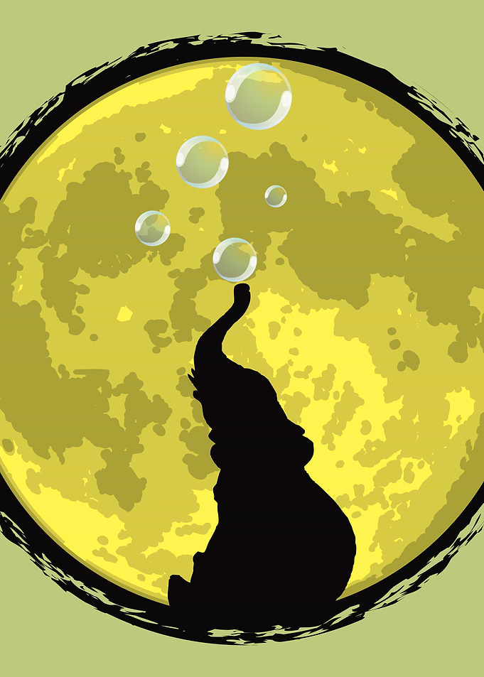 Elephant Bubbly In The Moonlight