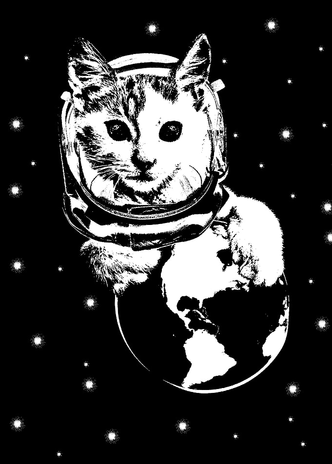 Space Cat
