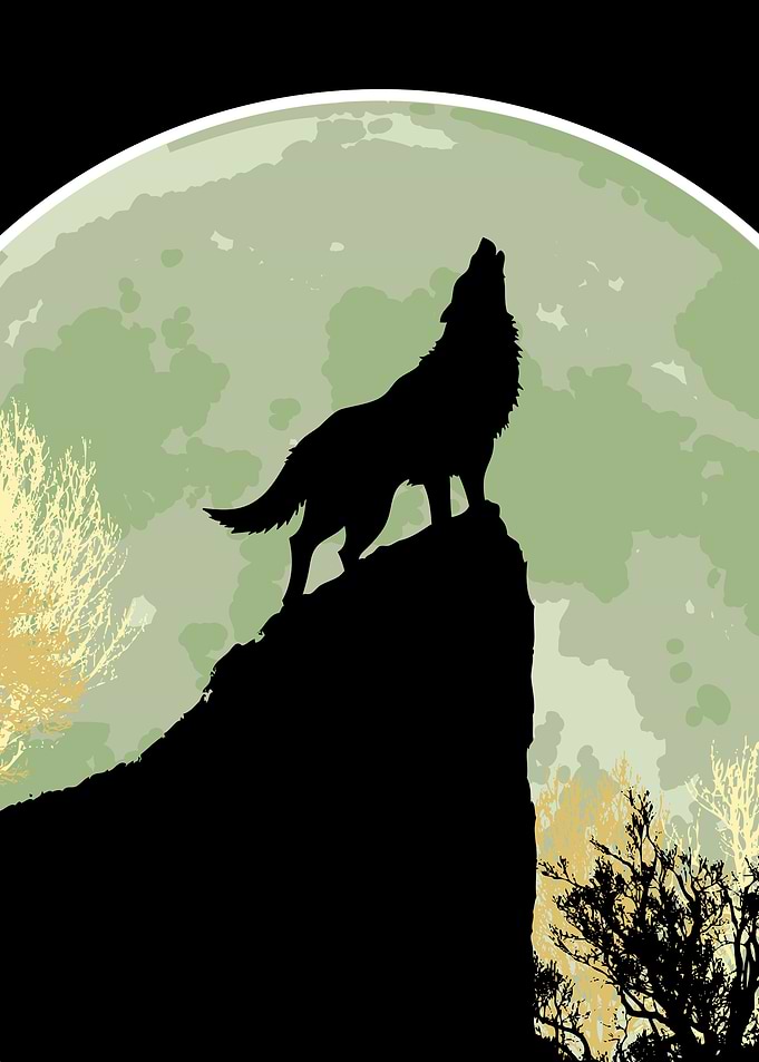 Wolf Howling