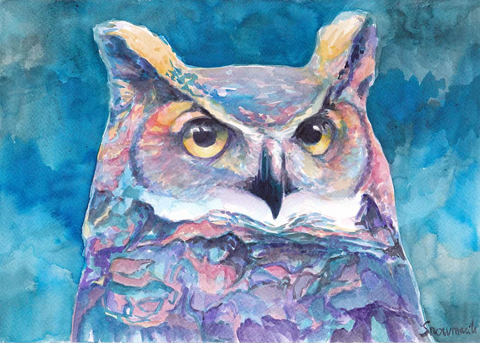 Wandering Owl