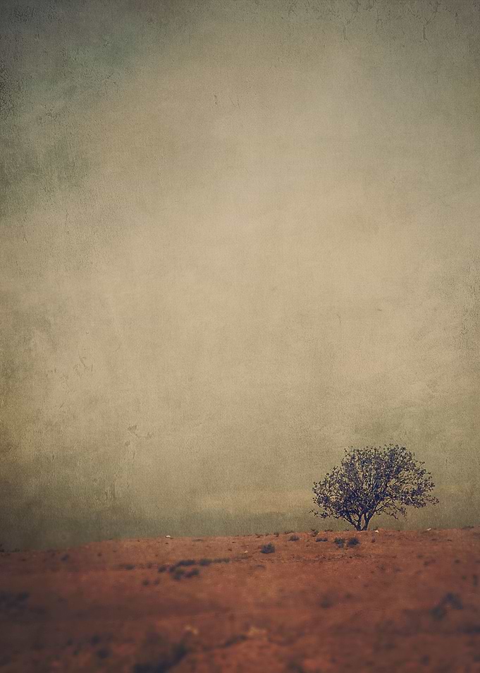 Solitude