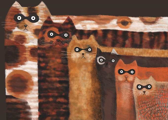 Cat Burglars