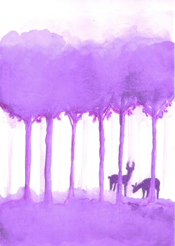 a forest