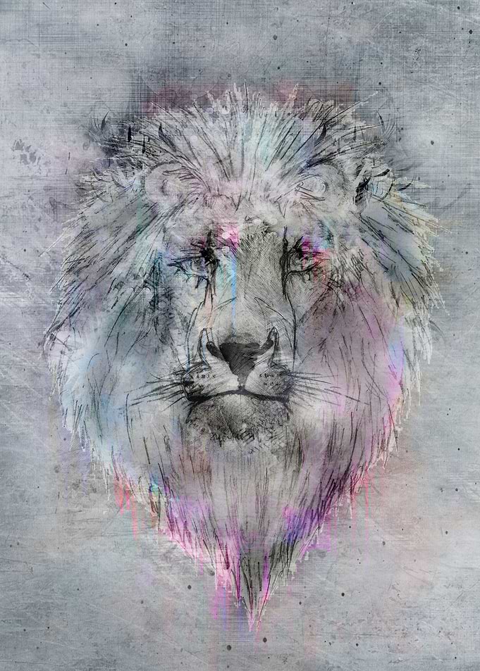Heart like a lion