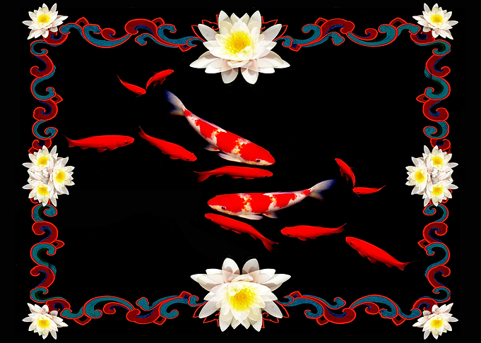 Koi Pond