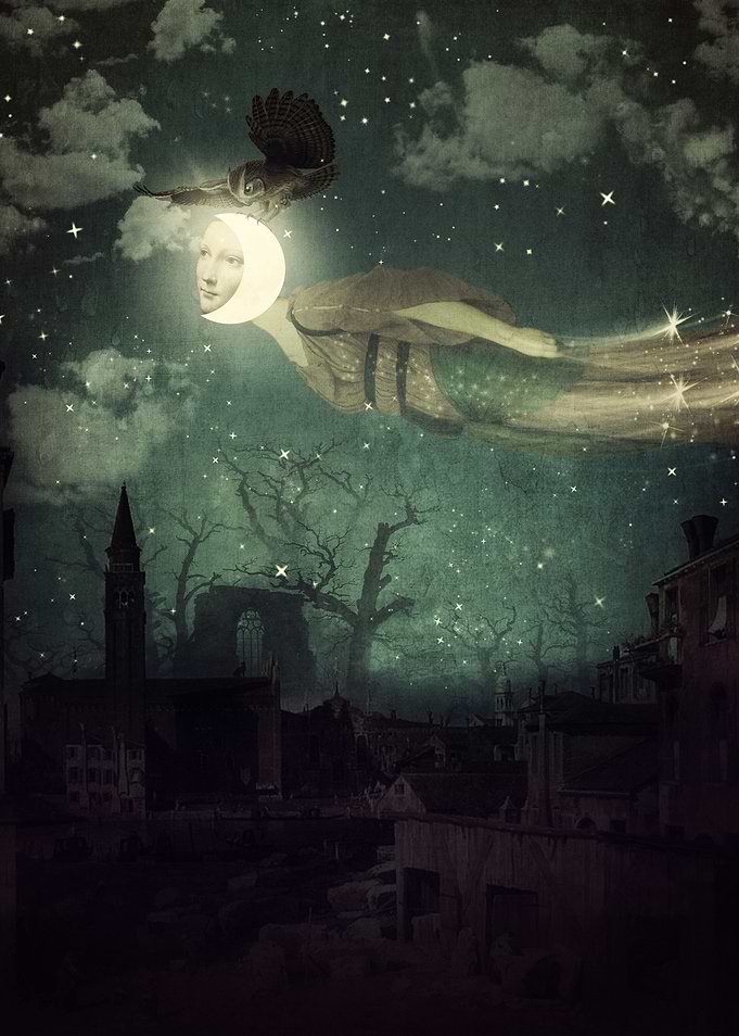 The Owl That Stole The Moon