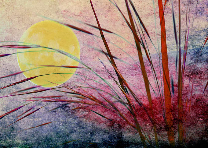 Moon behind the grass