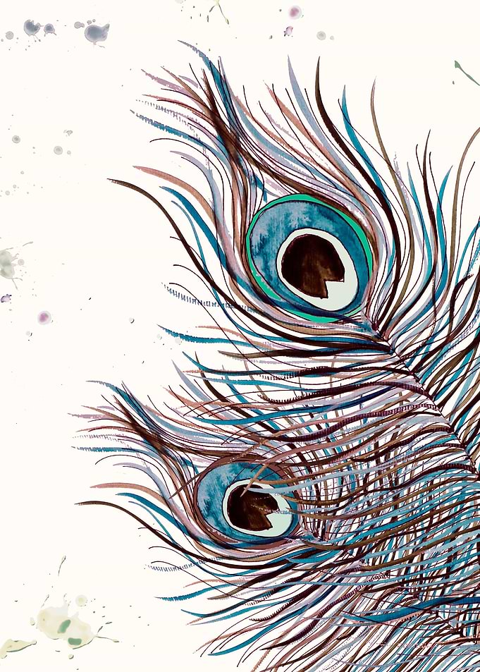 BOHO PEACOCK FEATHERS