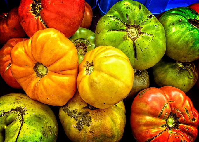 Heirloom Tomatoe Assormen