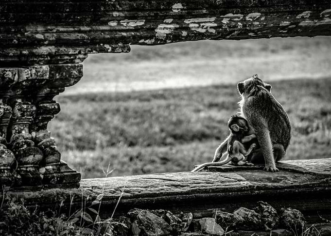 Mother and Child